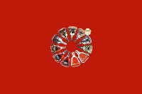 柳城县回收红酒